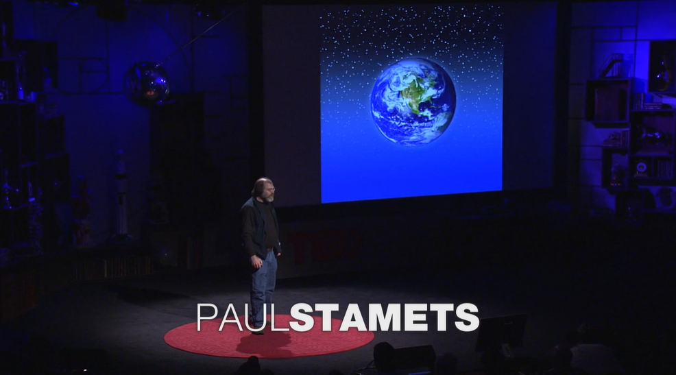 Load video: Mycologist Paul Stamets lists 6 ways the mycelium fungus can help save the universe: cleaning polluted soil, making insecticides, treating smallpox and even flu viruses.